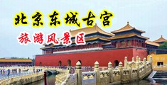亚洲熟妇自慰汇编中国北京-东城古宫旅游风景区